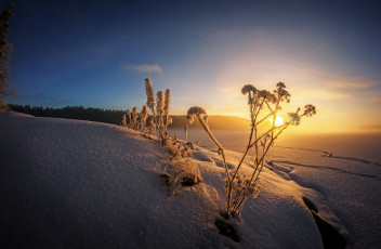 Картинка природа восходы закаты рассвет