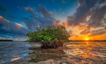 Картинка природа восходы закаты рассвет