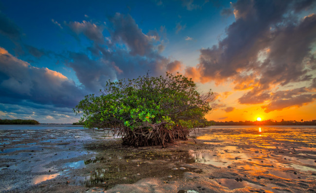 Обои картинки фото природа, восходы, закаты, рассвет