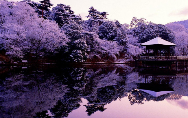 Обои картинки фото природа, парк, беседка, берег, озеро, деревья, пагода