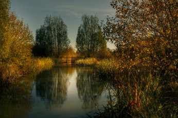 Картинка природа реки озера река лес