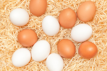 Картинка еда Яйца яйца