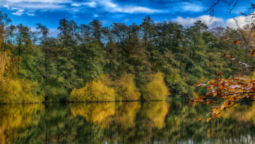 Картинка природа реки озера река лес