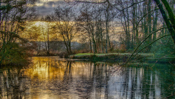 Картинка природа реки озера река лес