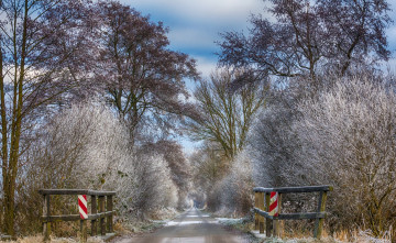 Картинка природа дороги река лес