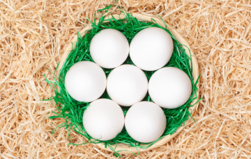 Картинка еда Яйца яйца