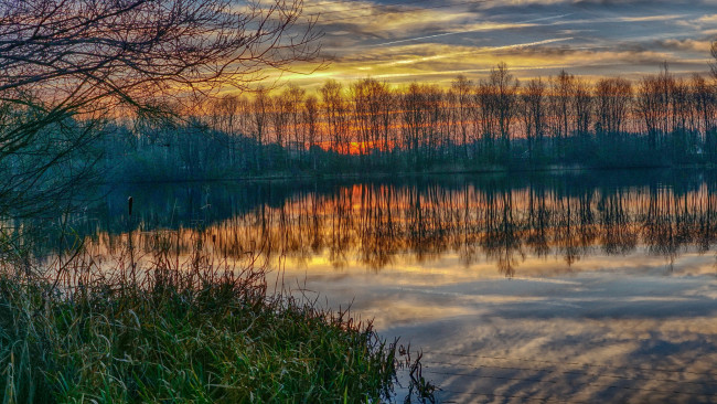 Обои картинки фото природа, реки, озера, лес, река