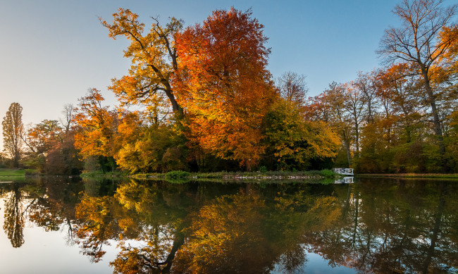 Обои картинки фото природа, реки, озера, река, лес