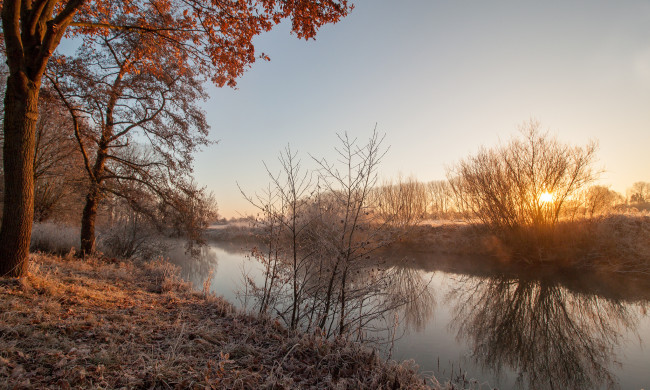 Обои картинки фото природа, реки, озера, река, лес