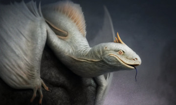 Картинка фэнтези существа alabaster roberto padula ящер арт