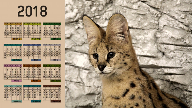 Обои картинки фото календари, животные, взгляд, морда