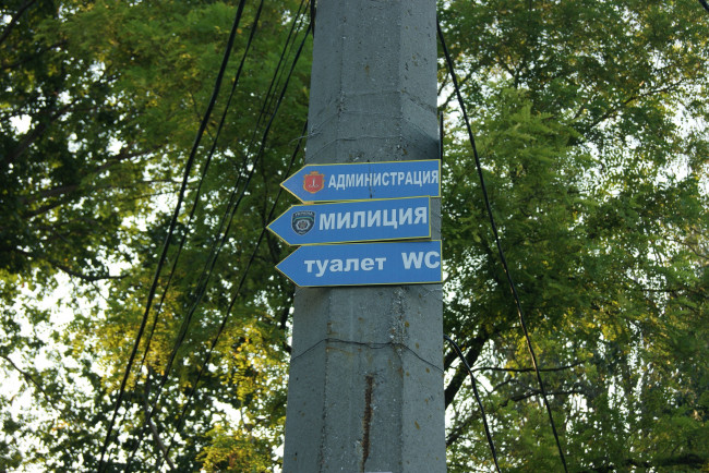 Обои картинки фото три в одном, юмор и приколы, таблички, столб, деревья, небо