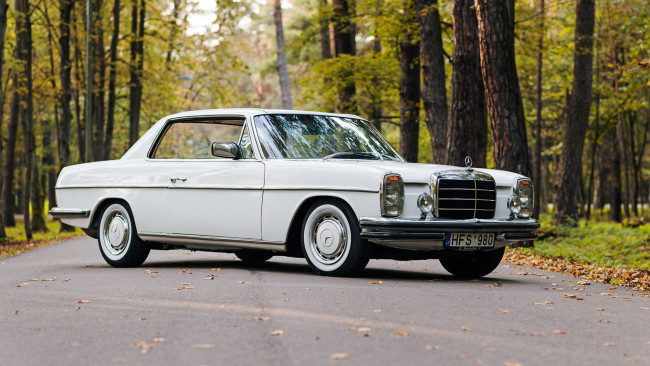 Обои картинки фото автомобили, mercedes-benz