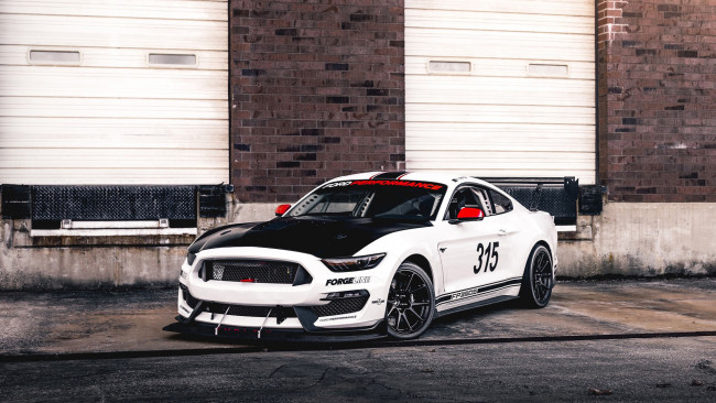 Обои картинки фото автомобили, mustang, ford, fp350s