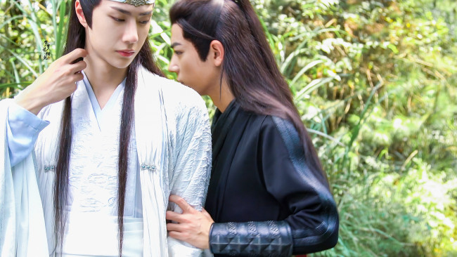 Обои картинки фото кино фильмы, the untamed, лань, ванцзи, вэй, усянь