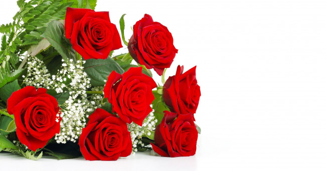 Обои картинки фото цветы, розы, букет, красные