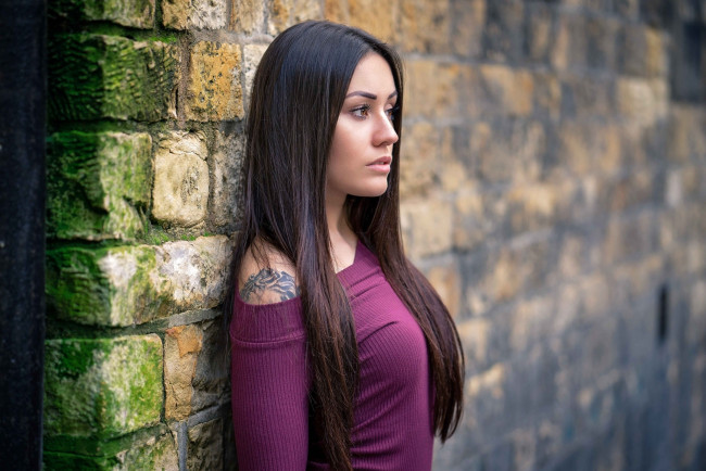 Обои картинки фото девушки, - брюнетки,  шатенки, брюнетка, тату, свитер
