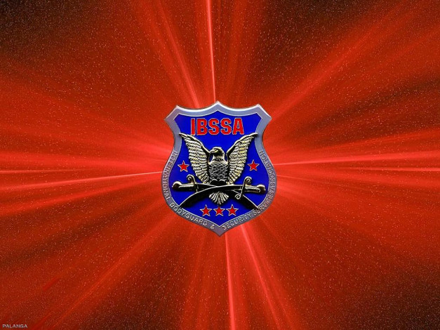 Обои картинки фото ассоциациЯ, телохранителей, разное