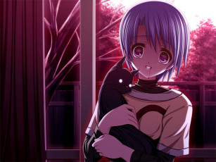 Картинка аниме weapon blood technology