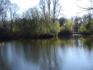 Картинка природа