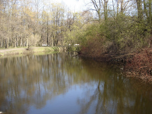 Картинка природа