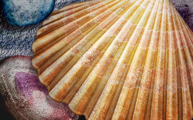 Обои картинки фото рисованные, животные, морская, фауна