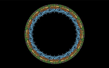 Картинка 3д графика fractal фракталы