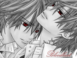 Картинка аниме vampire knight
