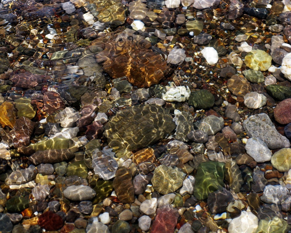 Обои картинки фото 