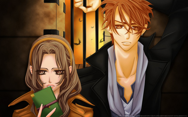 Обои картинки фото аниме, vampire, knight