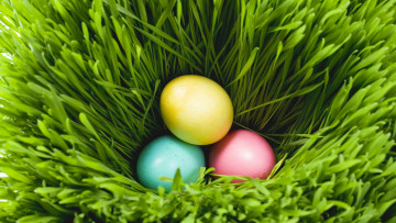 Картинка праздничные пасха яйца трава