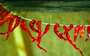 Картинка еда перец красный острый