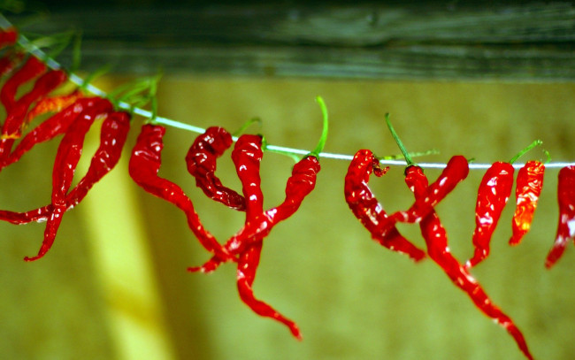 Обои картинки фото еда, перец, красный, острый