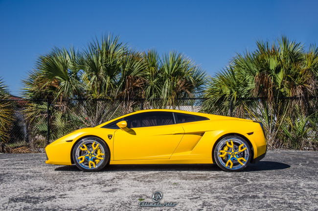 Обои картинки фото автомобили, lamborghini