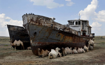 Картинка корабли другое camels