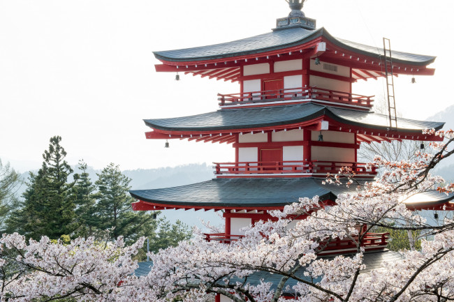 Обои картинки фото города, - здания,  дома, весна, цветы, ветки, деревья, здание, крыша, пейзаж