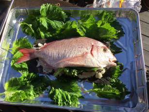 Картинка еда рыба +морепродукты +суши +роллы деликатесы