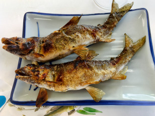 Картинка еда рыба +морепродукты +суши +роллы деликатесы