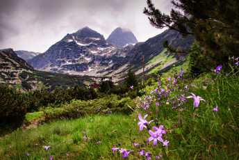 Картинка природа горы скалы