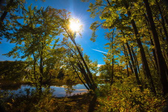 Картинка природа реки озера лес река