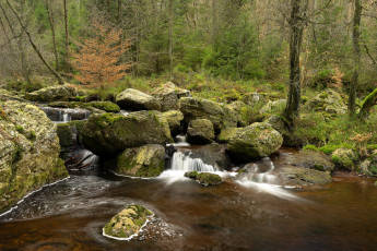 Картинка природа реки озера водопад река деревья лес