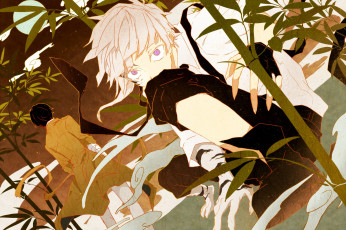 Картинка аниме bungou+stray+dogs ацуши