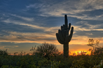 Картинка природа пустыни рассвет