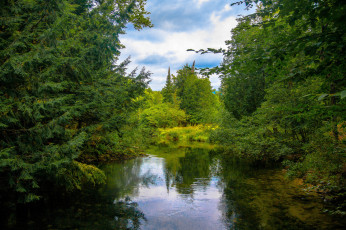 Картинка природа реки озера река лес