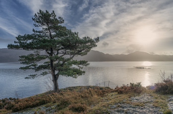 Картинка природа реки озера река лес