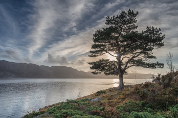 Картинка природа реки озера река лес