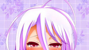 Картинка аниме no+game+no+life девушка фон взгляд