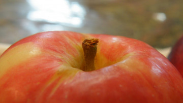 Картинка еда Яблоки макро