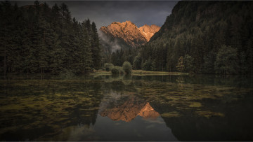 Картинка природа реки озера лес река