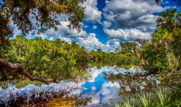 Картинка природа реки озера река лес